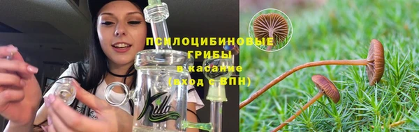 МДМА Арсеньев