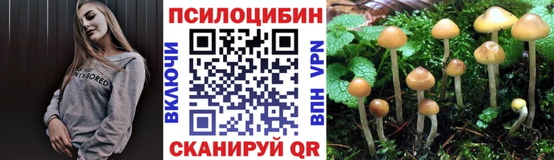 Галлюциногенные грибы прущие грибы  Ужур 